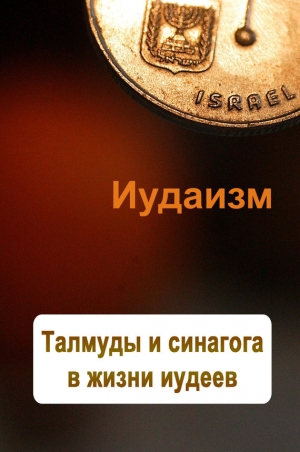 обложка книги Талмуды и синагога в жизни иудеев - Илья Мельников