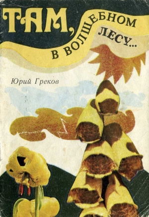 обложка книги Там в волшебном лесу - Юрий Греков