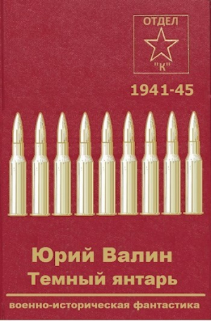 обложка книги Темный янтарь (СИ) - Юрий Валин