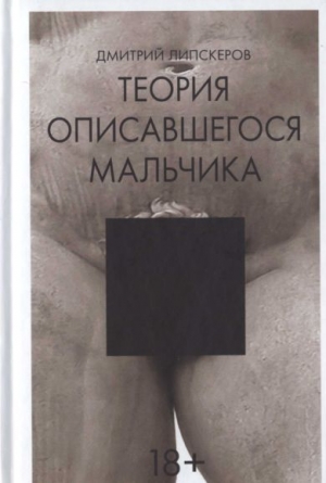 обложка книги Теория описавшегося мальчика - Дмитрий Липскеров