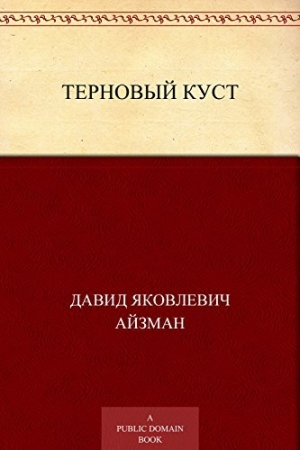 обложка книги Терновый куст - Давид Айзман