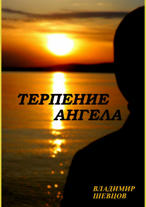 обложка книги Терпение ангела - Владимир Шевцов