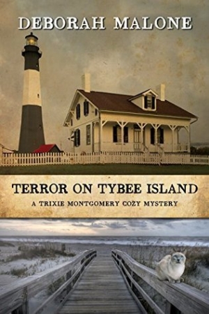 обложка книги Terror on Tybee Island - Deborah Malone