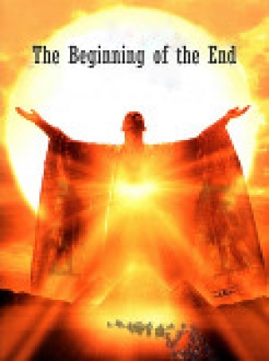 обложка книги The Beginning of the End (СИ) - MadameD
