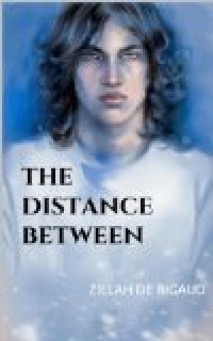 обложка книги The Distance Between - Zillah De Rigaud