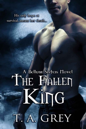 обложка книги The Fallen King - T. A. Grey