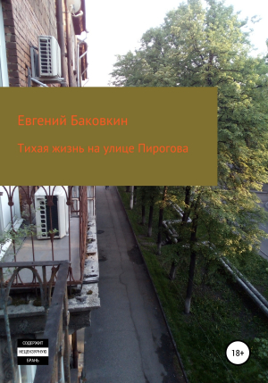 обложка книги Тихая жизнь на улице Пирогова - Евгений Баковкин