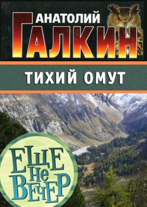 обложка книги Тихий омут - Анатолий Галкин