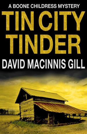обложка книги Tin City Tinder - David Macinnis Gill