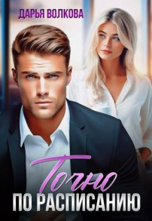 обложка книги Точно по расписанию (СИ) - Дарья Волкова