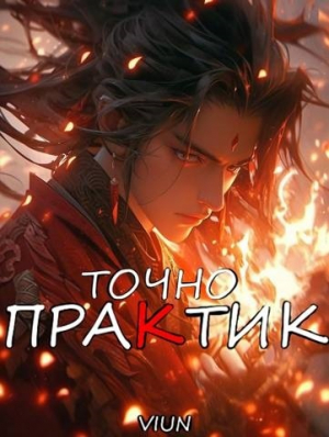 обложка книги Точно практик 4 (СИ) - Вьюн