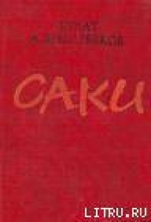 обложка книги Томирис - Булат Жандарбеков