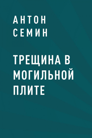 обложка книги Трещина в могильной плите - Антон Семин