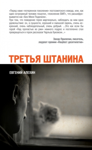 обложка книги Третья штанина - Евгений Алёхин
