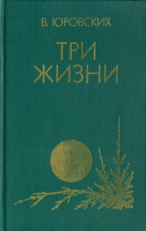 обложка книги Три жизни - Василий Юровских