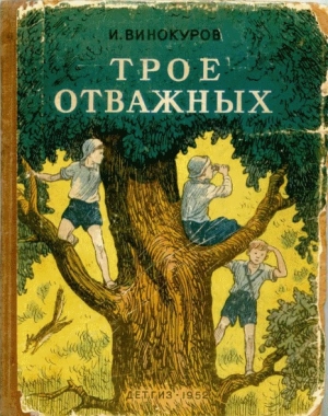 обложка книги Трое отважных - Иван Винокуров