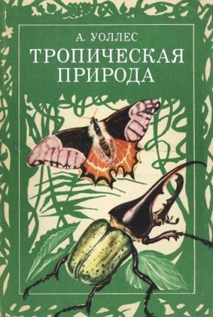 обложка книги Тропическая природа - Альфред Рассел Уоллес