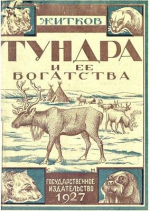 обложка книги Тундра и ее богатства - Борис Житков