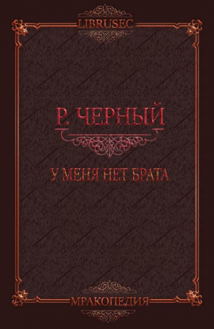 обложка книги У меня нет брата (СИ) - Роман Чёрный