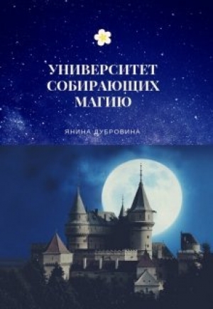 обложка книги Университет собирающих магию (СИ) - Янина Дубровина