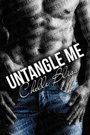 обложка книги Untangle Me - Chelle Bliss
