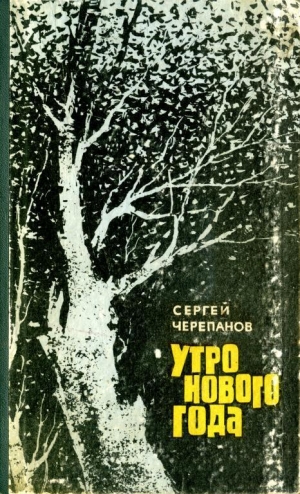 обложка книги Утро нового года - Сергей Черепанов
