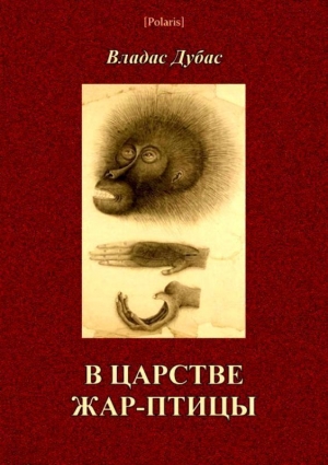 обложка книги В царстве жар-птицы - Владас Дубас