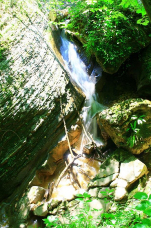 обложка книги В горах Адыгеи - Иван Бормотов