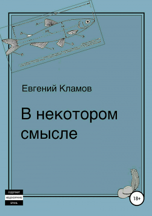 обложка книги В некотором смысле - Евгений Кламов