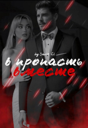 обложка книги В пропасть вместе (СИ) - Savit Elis