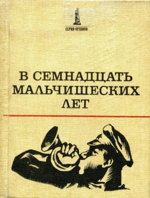 обложка книги В семнадцать мальчишеских лет - Владислав Гравишкис