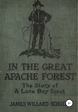обложка книги В Великом лесу апачей - Джеймс Уиллард Шульц