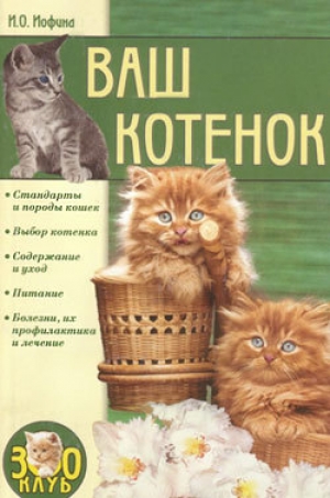 обложка книги Ваш котенок - Ирина Иофина