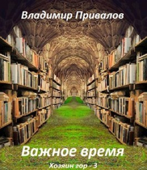обложка книги Важное время (СИ) - Владимир Привалов