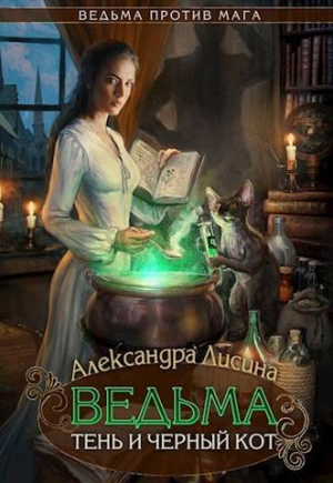 обложка книги Ведьма, тень и черный кот (СИ) - Александра Лисина