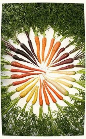 обложка книги Вегетарианство в вопросах и ответах - Дэвид Коулс-Хэмар