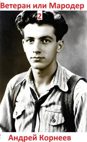 обложка книги Ветеран или Мародер 2 (СИ) - Андрей Корнеев