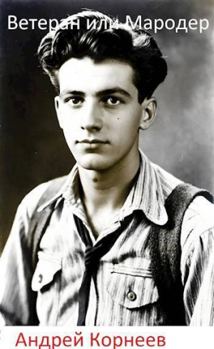 обложка книги Ветеран или Мародер (СИ) - Андрей Корнеев