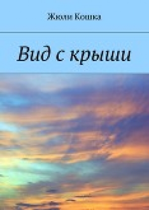 обложка книги Вид с крыши - Жюли Кошка