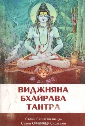 обложка книги Виджняна Бхайрава Тантра - Свами Сарасвати