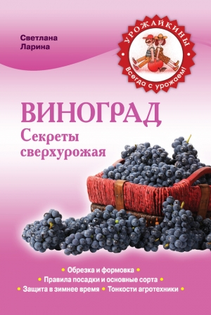 обложка книги Виноград для начинающих - Светлана Ларина