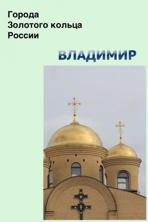 обложка книги Владимир - Илья Мельников