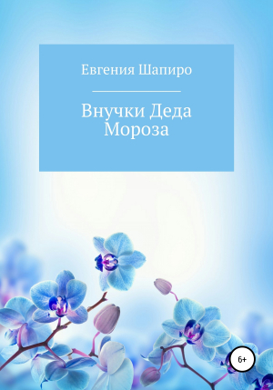 обложка книги Внучки Деда Мороза - Евгения Шапиро
