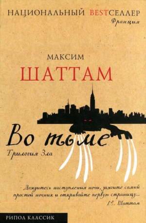 обложка книги Во тьме - Максим Шаттам