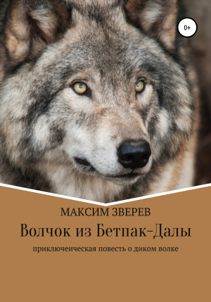 обложка книги Волчок из Бетпак-Далы - Максим Зверев