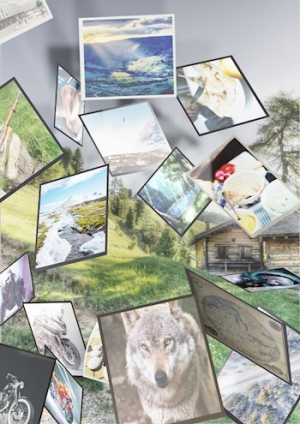 обложка книги Волчонок. Путь домой. Том 1 (СИ) - Rodogor Hoenhaym