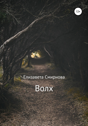 обложка книги Волх - Елизавета Смирнова