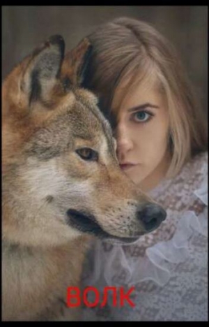 обложка книги Волк (СИ) - Алина Слабунова