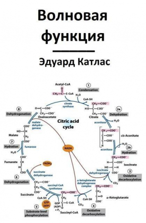 обложка книги Волновая функция (СИ) - Эдуард Катлас