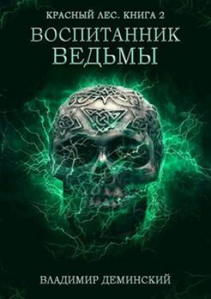 обложка книги Воспитанник ведьмы (СИ) - Владимир Деминский